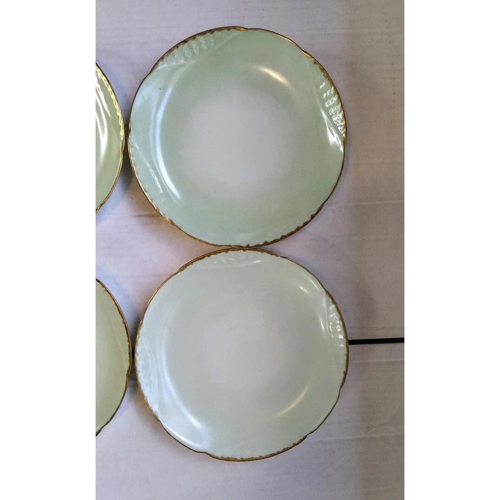 Haviland limoges circa